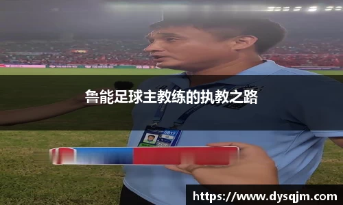 鲁能足球主教练的执教之路